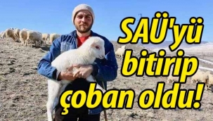 SAÜ'yü bitirip koyun çobanı oldu!
