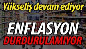Yükseliş devam ediyor!