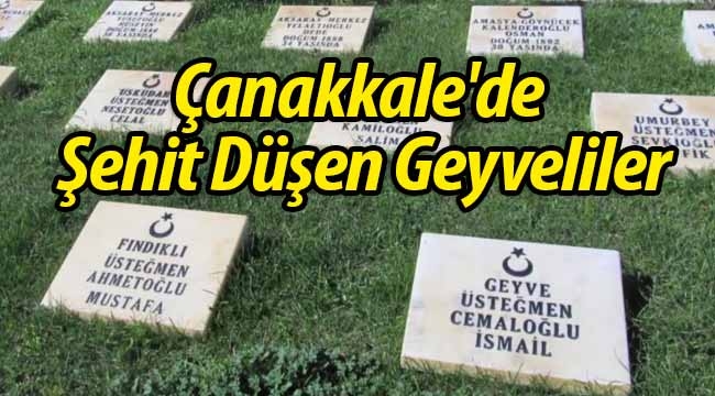 Çanakkale'de Şehit Düşen Geyveliler