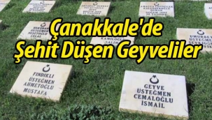 Çanakkale'de Şehit Düşen Geyveliler