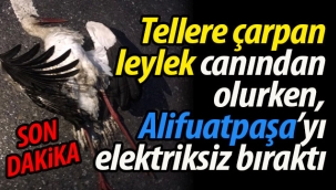 Canından olurken, Alifuatpaşa'yı elektriksiz bıraktı