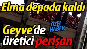 Geyve'de elma depoda kaldı! Üretici perişan..