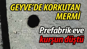 Geyve'de korkutan kurşun!