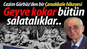 Geyve Kokar Bütün Salatalıklar
