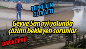 Geyve Sanayi yolunda çözüm bekleyen sorunlar