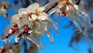 Meteoroloji'den DON uyarısı!