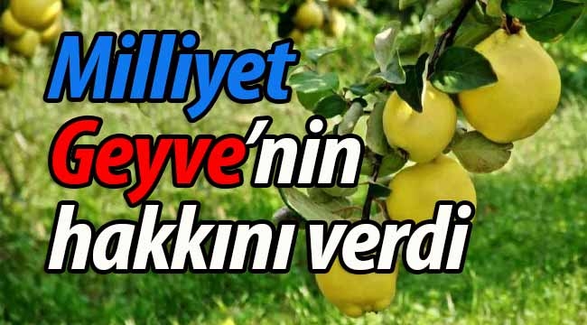 Milliyet, Geyve'nin hakkını verdi