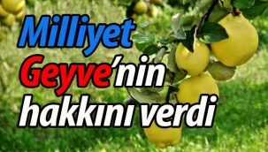 Milliyet, Geyve'nin hakkını verdi