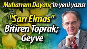 "Sarı Elmas" Bitiren Toprak; Geyve