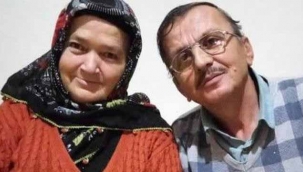 Arıların soktuğu talihsiz adam hayatını kaybetti