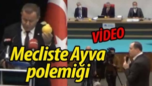 Büyükşehir Meclisinde Ayva polemiği..