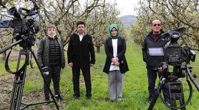 Çiftçi Tv, Geyve Ayvası için ilçede çekim yaptı