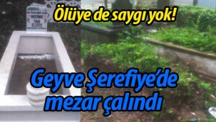Geyve Şerefiye'de mezar hırsızlığı!