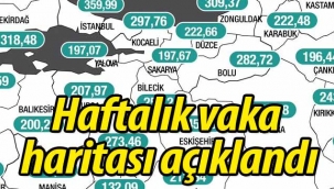 Haftalık koronavirüs vaka haritası açıklandı