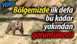 İlk defa bu kadar yakından görüntülendi