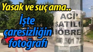 İşte çaresizliğin fotoğrafı