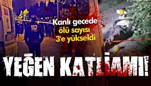 Erenler'de miras katliamı; 3 ÖLÜ
