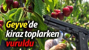 Geyve'de kiraz toplarken vuruldu