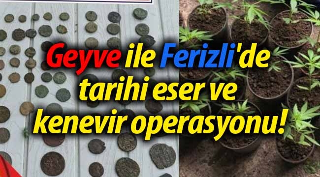 Geyve ile Ferizli'de tarihi eser ve kenevir operasyonu!