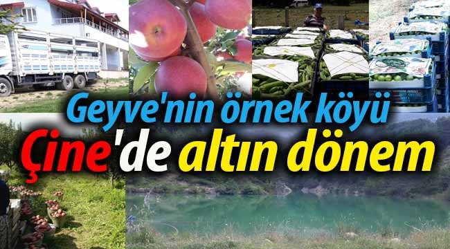 Geyve'nin örnek köyü Çine'de altın dönem