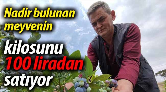 Nadir bulunan meyvenin kilosunu 100 liradan satıyor