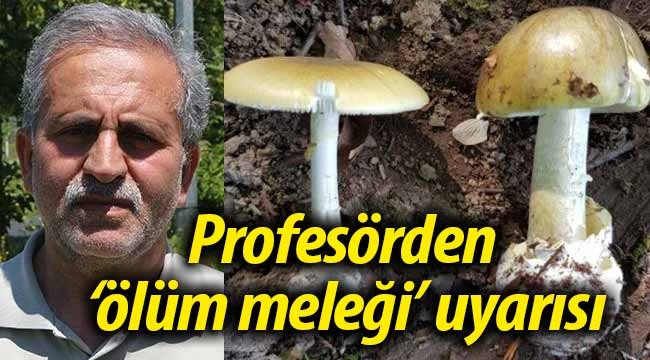 Profesörden 'ölüm meleği' uyarısı