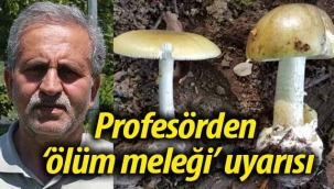 Profesörden 'ölüm meleği' uyarısı