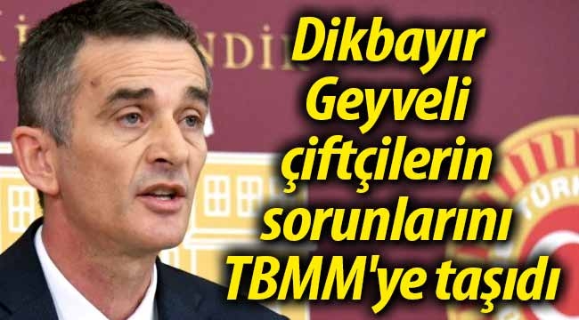 Dikbayır Geyveli çiftçilerin sorunlarını TBMM'ye taşıdı