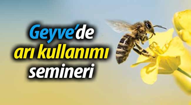 Geyve'de arı kullanımı semineri
