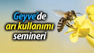 Geyve'de arı kullanımı semineri