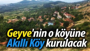 Geyve'nin o köyüne Akıllı Köy kurulacak