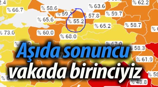 Sakarya, aşıda sonuncu vakada birinci