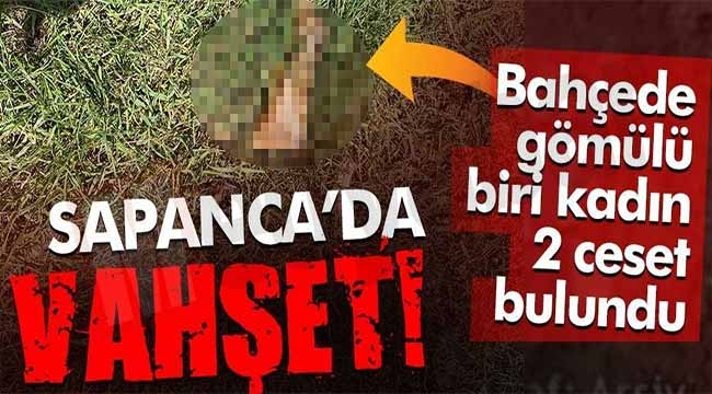 Sapanca'da vahşet! Gömülü 2 ceset bulundu