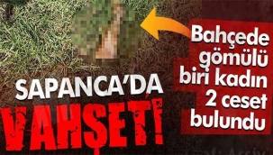 Sapanca'da vahşet! Gömülü 2 ceset bulundu