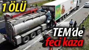TEM'de feci kaza: 1 ölü