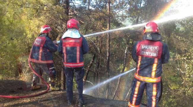 Avcılar, Taraklı'da yangını önledi