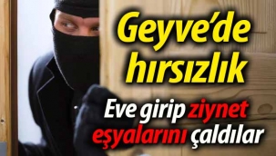 Geyve Alifuatpaşa'da hırsızlık!