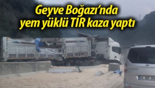 Geyve Boğazı'nda yem yüklü TIR kaza yaptı