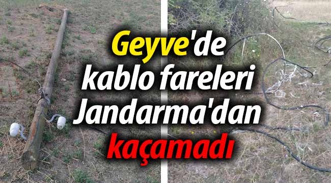 Geyve'de kablo fareleri Jandarma'dan kaçamadı