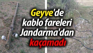 Geyve'de kablo fareleri Jandarma'dan kaçamadı