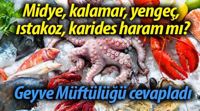 Midye, kalamar, yengeç, ıstakoz, karides haram mı? 