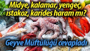 Midye, kalamar, yengeç, ıstakoz, karides haram mı? 