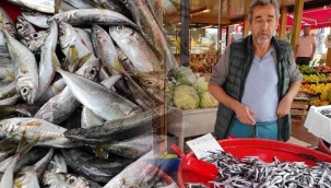 Geyve'de balıklar tezgahları süsledi