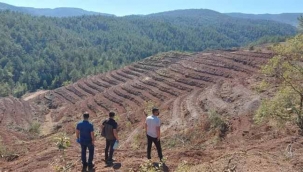 Geyve Orman İşletme'den Kayaboğazı'na 12 bin 500 fidan 