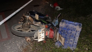 Geyve-Taraklı yolunda motosiklet kazası: 1 ağır yaralı