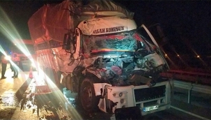 Pamukova'da kamyon TIR'a çarptı