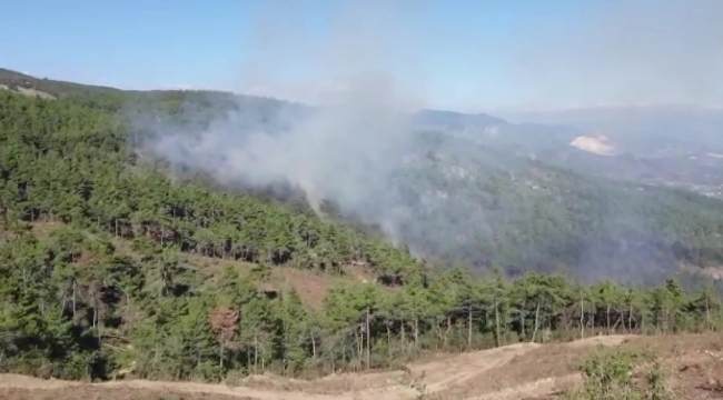 Pamukova'da orman yangını kontrol altına alındı!