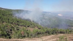 Pamukova'da orman yangını kontrol altına alındı!