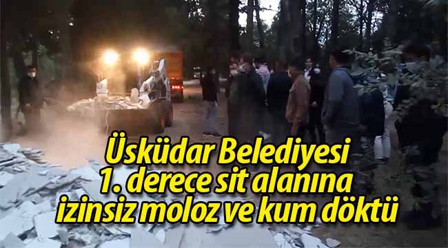 Üsküdar Belediyesi, Validebağ Korusu'na izinsiz moloz ve kum döktü