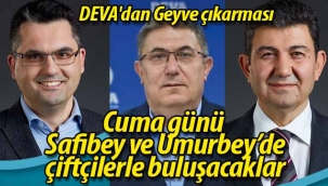 DEVA Partisi'nden Geyve çıkarması